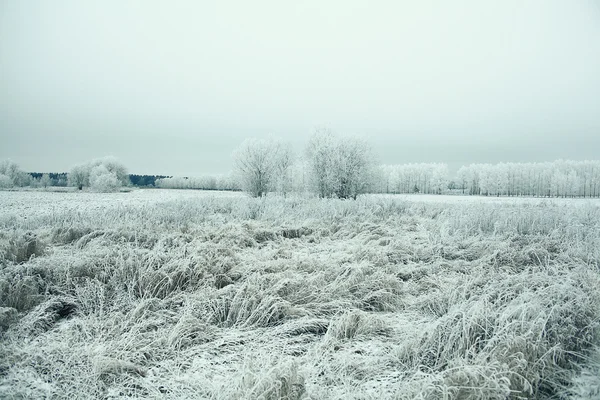 Paysage hivernal — Photo