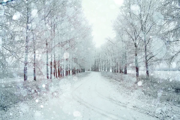 Paesaggio invernale — Foto Stock