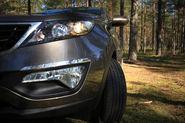 SUV car in  woods — Stock Photo, Image