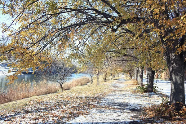 Parco del tardo autunno — Foto Stock
