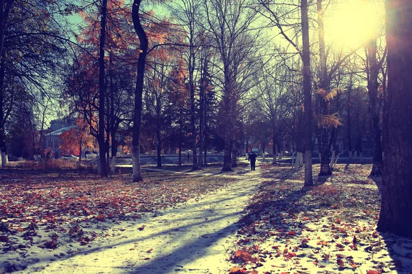 秋雪の公園 — ストック写真