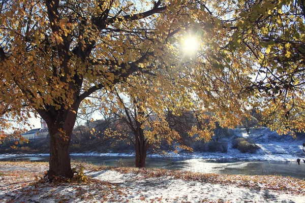 Parque de finales de otoño — Foto de Stock