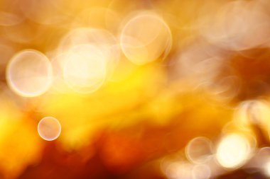 Sonbahar arkaplanı bulanık