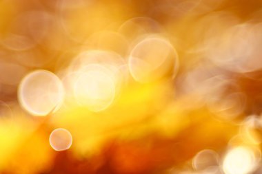 Sonbahar arkaplanı bulanık