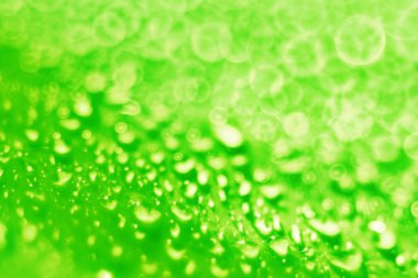 Yeşil damla arka plan