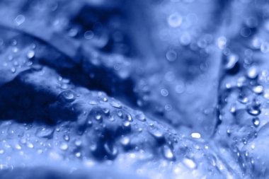 mavi damla arka plan