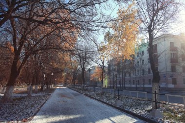 Sonbahar karlı park