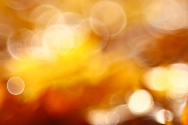 Sonbahar arkaplanı bulanık