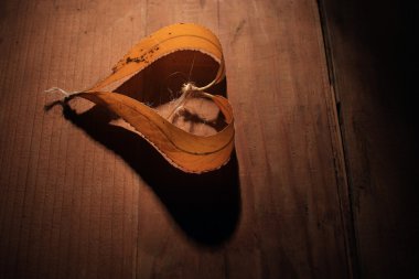 Sonbahar kalp yaprak