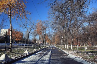 Sonbahar karlı park