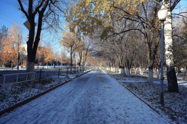 Sonbahar karlı park