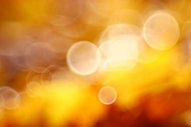 Sonbahar arkaplanı bulanık