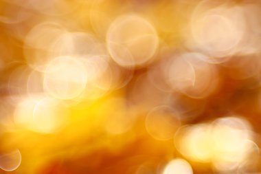 Sonbahar arkaplanı bulanık