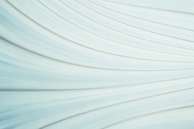 Geometri satır arkaplanı