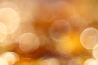 arka plan bulanık turuncu