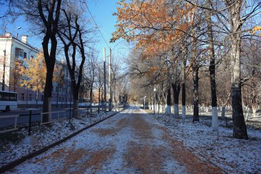 Sonbahar karlı park