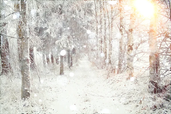 Paesaggio invernale — Foto Stock