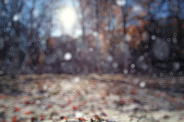 秋の公園の背景 — ストック写真