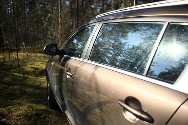 SUV auto metsässä — kuvapankkivalokuva