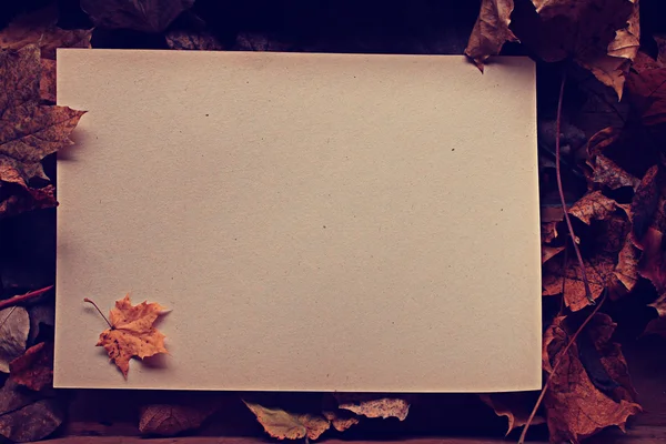 Paper with autumn leaves — Stock Photo, Image