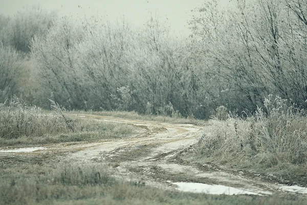 Frozen grass — Stock Photo, Image