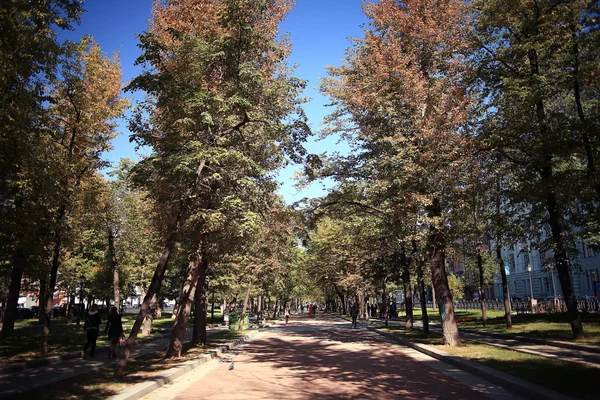 Parque de outono — Fotografia de Stock