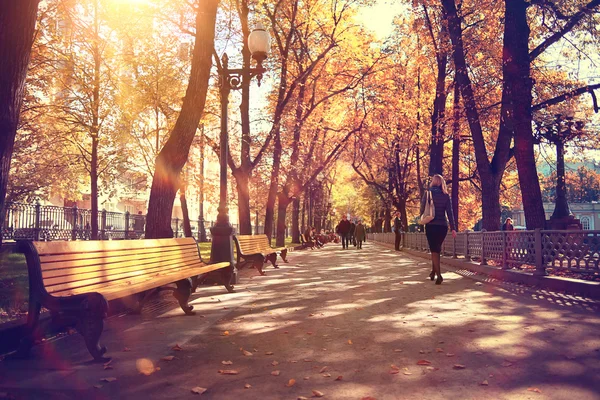 Autumn park — Stock Photo, Image