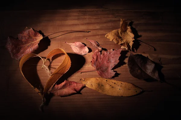 Hojas de otoño —  Fotos de Stock