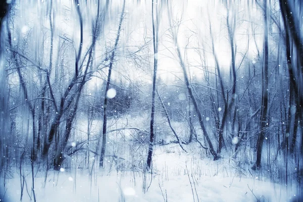 Kış dalları — Stok fotoğraf