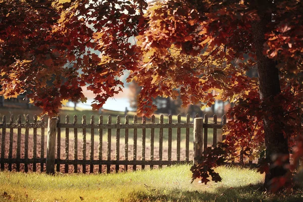 Herfstpark — Stockfoto