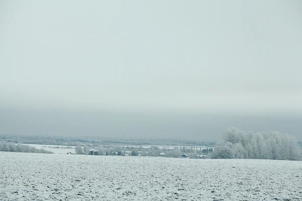 Winter landscape — Stock Photo, Image