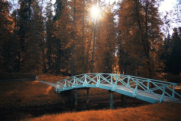 Herfst in het park — Stockfoto