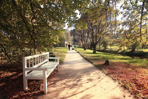 Bench in autumn park — Stock Photo, Image