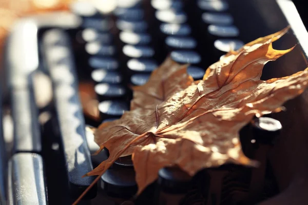 Autumn typewriter — Stock Photo, Image