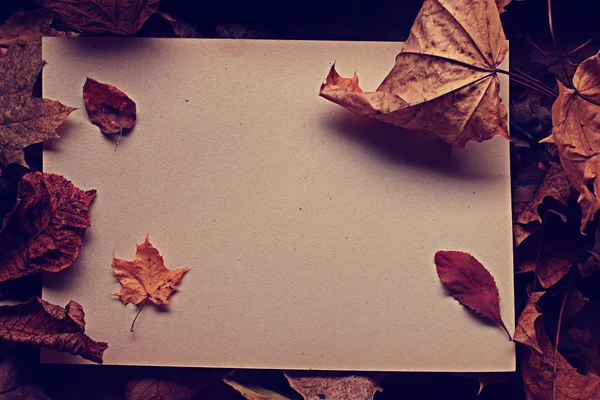 Письмо с листьями — стоковое фото