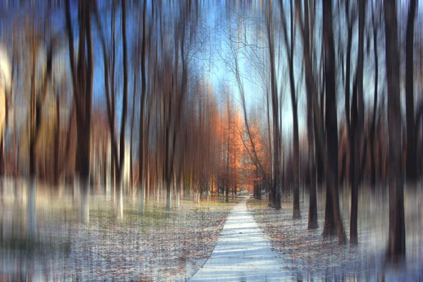 秋の公園の背景 — ストック写真