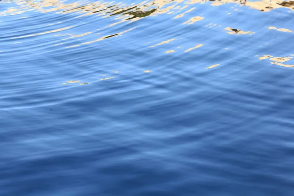 เนื้อเยื่อของทะเล — ภาพถ่ายสต็อก