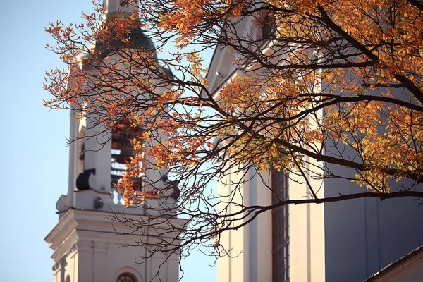 Catedral de Vitebsk —  Fotos de Stock