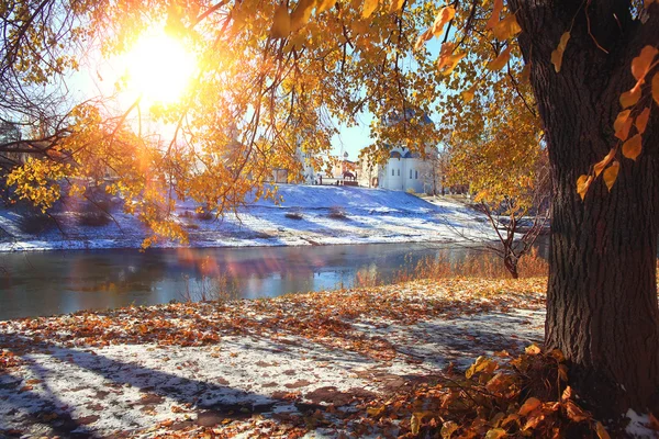 Late autumn park — Stock Photo, Image