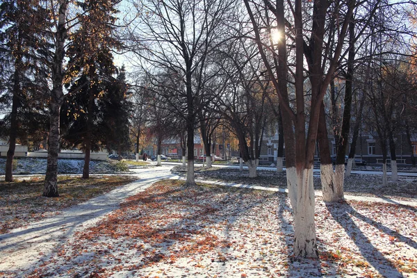 Parque nevado de otoño —  Fotos de Stock