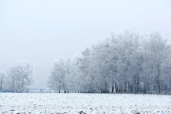 Zimní krajina — Stock fotografie