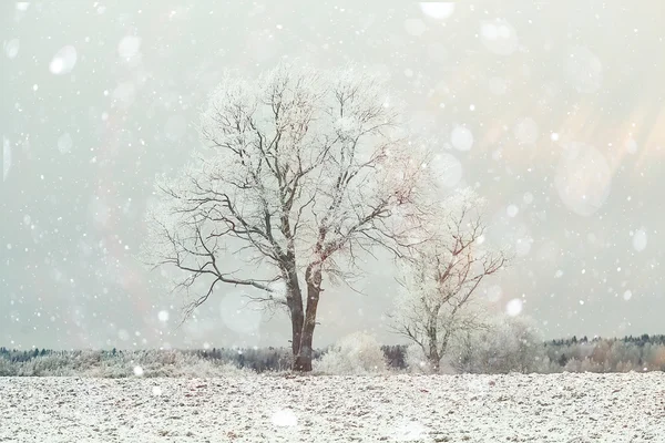 Paisaje invierno — Foto de Stock