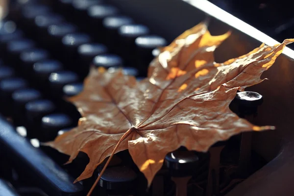 Autumn typewriter — Stock Photo, Image