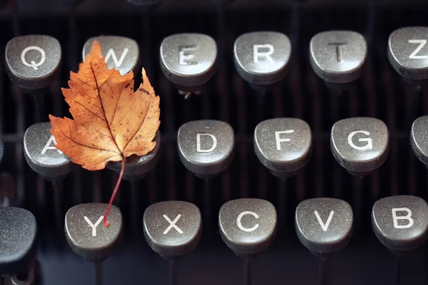 打字机与秋天的叶子 — 图库照片
