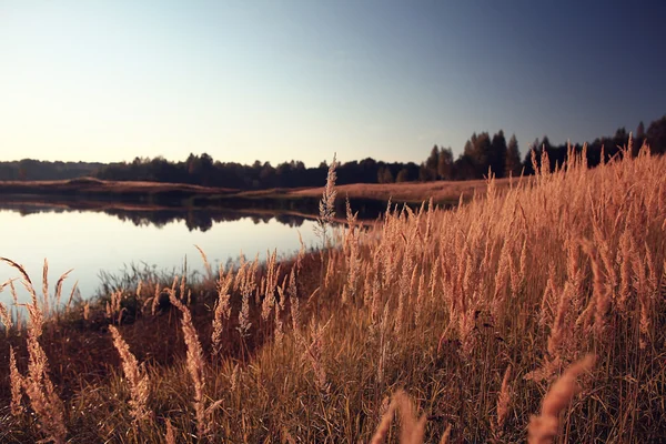 Sonbahar Gölü — Stok fotoğraf