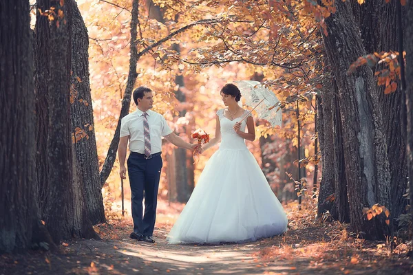 Pareja de boda — Foto de Stock