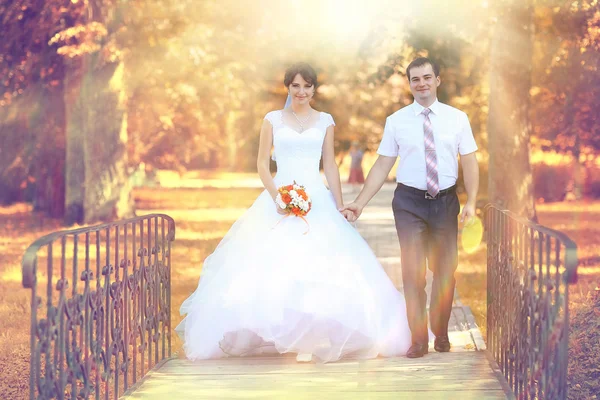 Pareja de boda — Foto de Stock