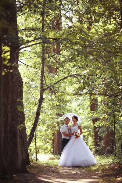 Matrimonio coppia — Foto Stock