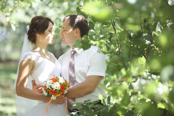 Hochzeitspaar — Stockfoto