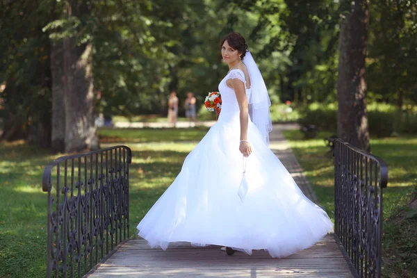 Bride in park — Stock Photo, Image